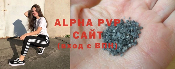 стаф Пересвет