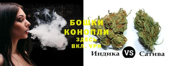 дурь Переславль-Залесский