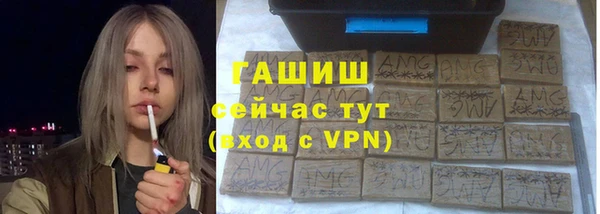 гашик Пестово
