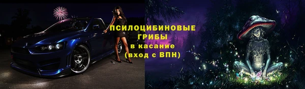 стаф Пересвет