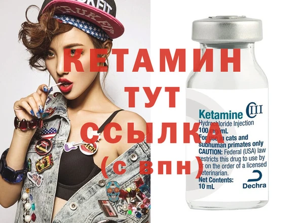 стаф Пересвет