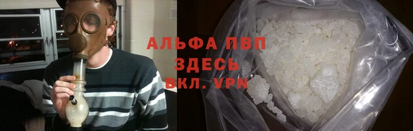 гашик Пестово