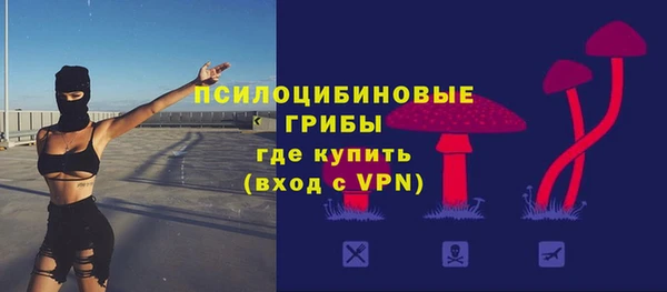 стаф Пересвет
