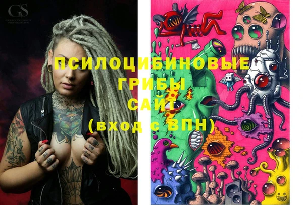 spice Ельня