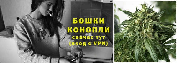 гашик Пестово