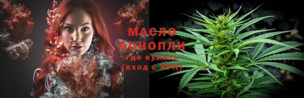 spice Ельня