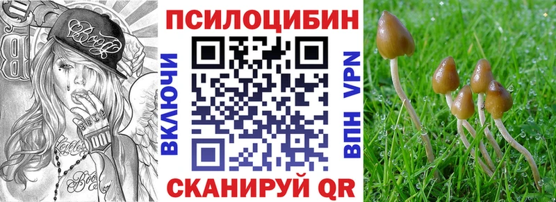 ссылка на мегу ONION Себеж Псилоцибиновые грибы прущие грибы